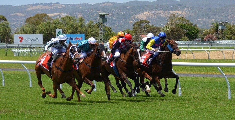 Films sur les courses de chevaux
