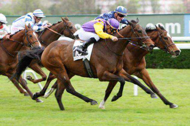 Courses de chevaux en direct