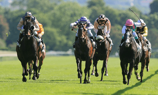 pronostics quotidiens sur les courses de chevaux
