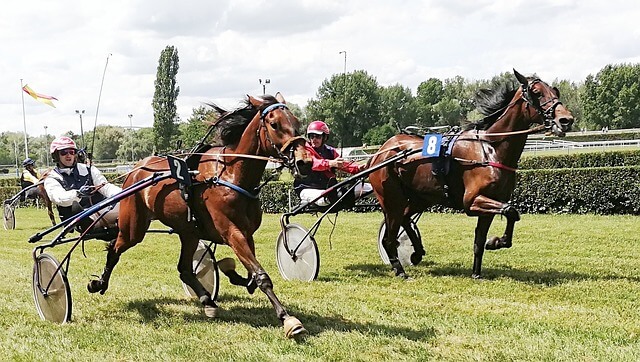 Calendrier des courses hippiques en 2023