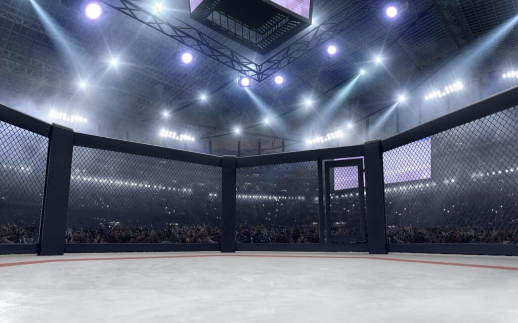 ufc 311