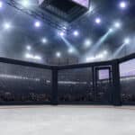 ufc 311