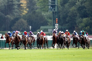 Tuyaux PMU hippiques